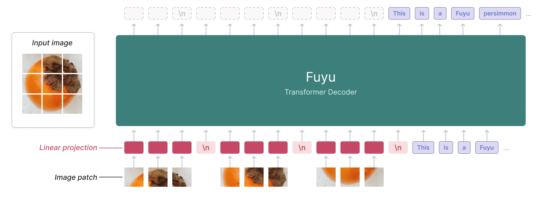 Fuyu-8B: A Multimodal Architecture for AI Agents architecture: Fuyu-8B projects image patches directly into a decoder-only Transformer.