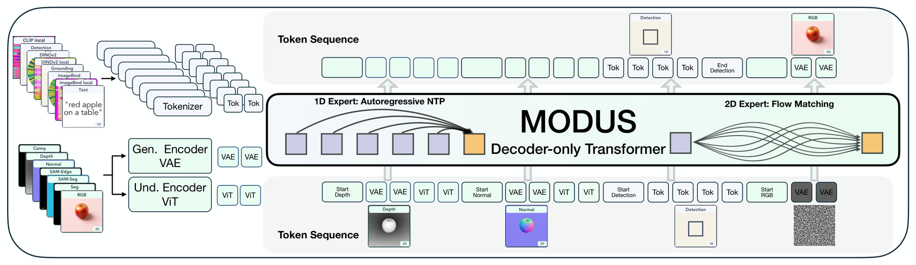 MODUS: Decoder-Only Any-to-Any Multimodal Modeling architecture: Decoder-only any-to-any modeling across tokenized 1D and 2D modalities