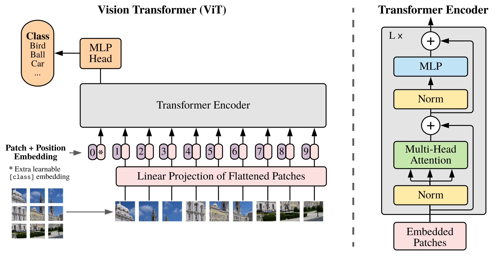 ViT: An Image is Worth 16x16 Words: Transformers for Image Recognition at Scale architecture: ViT patch embedding, Transformer encoder, and classification-token architecture.