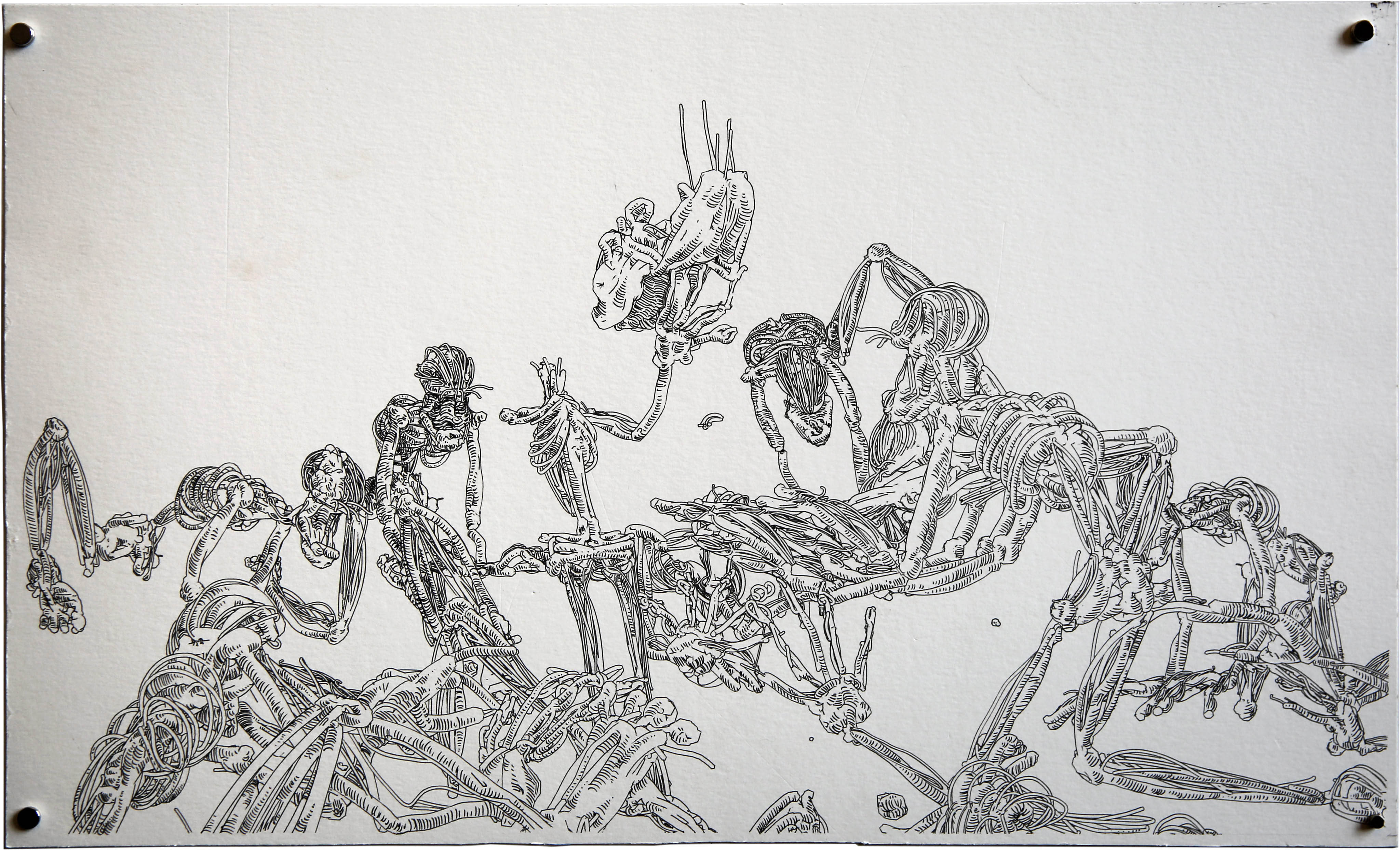 jean_cho_bones_2