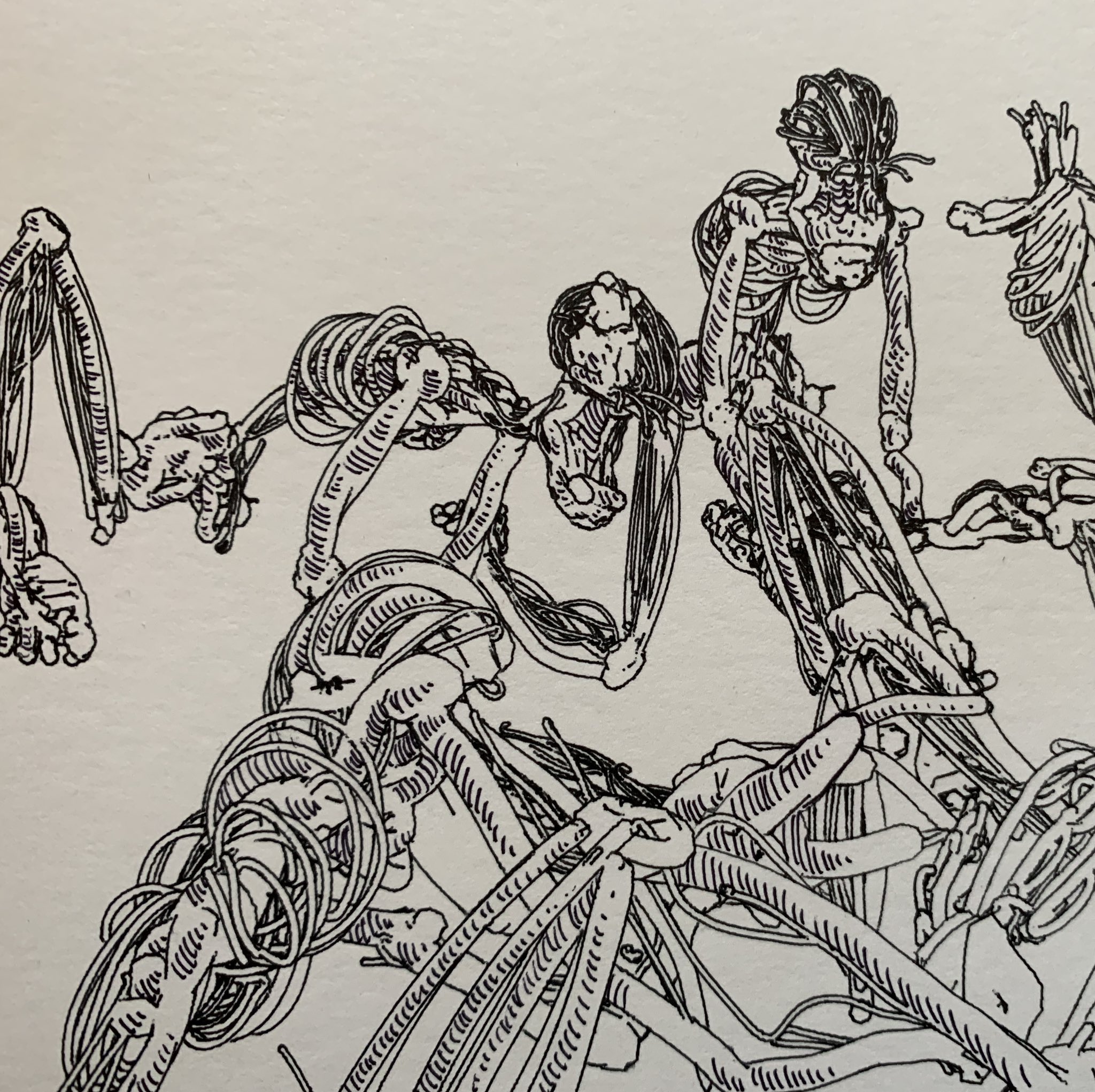 jean_cho_bones_3