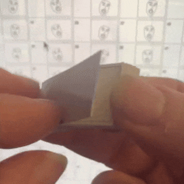 plotSvg_face_flipbook
