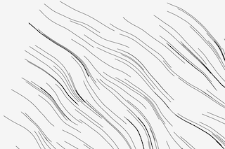 plotSvg_particle_paths