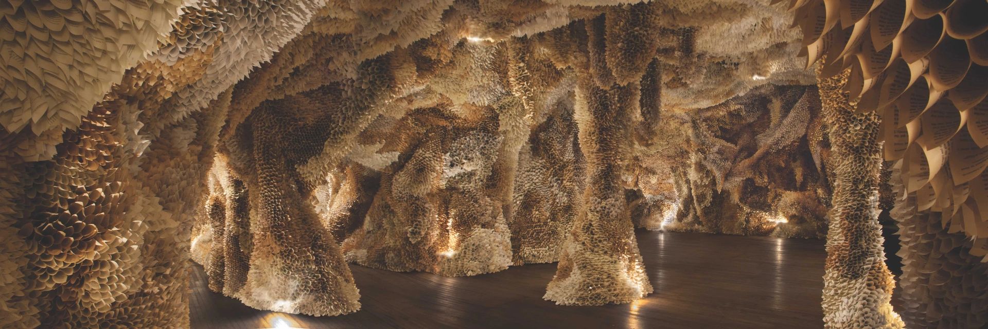 Samuelle Green, The Paper Caves Project