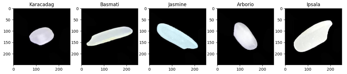 GitHub - goldstring/Rice-Images-Classification-Using-CNN-Deep-Learning