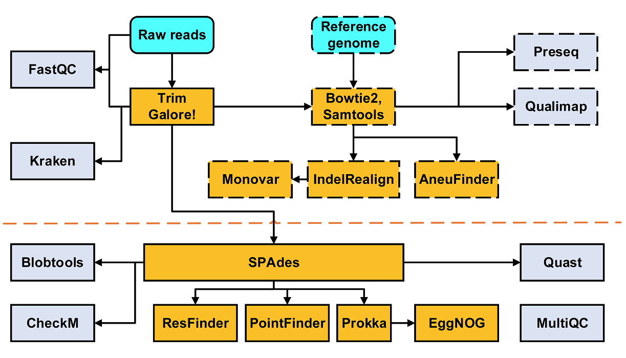 Schematic image of scgs pipeline