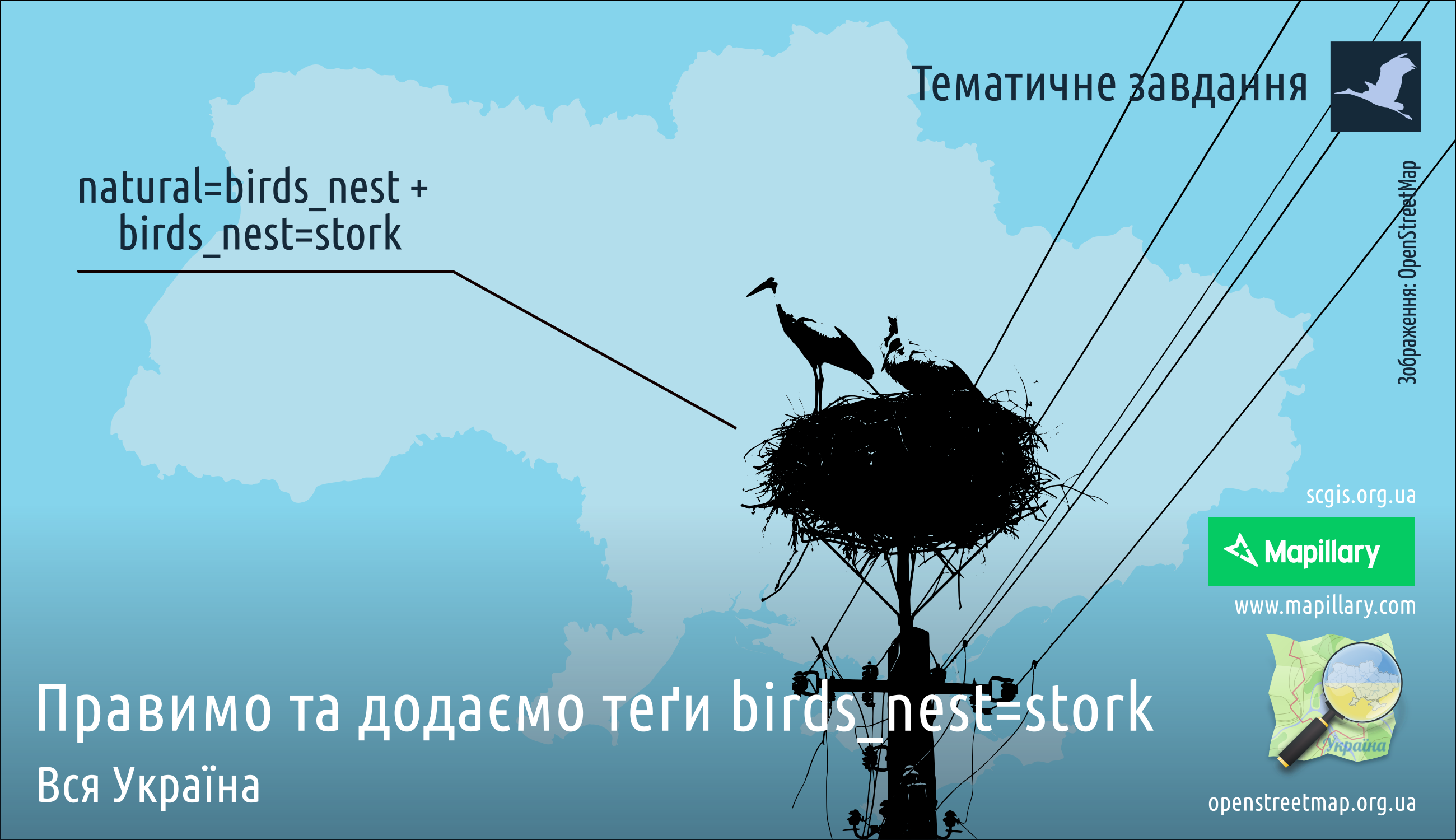 stork