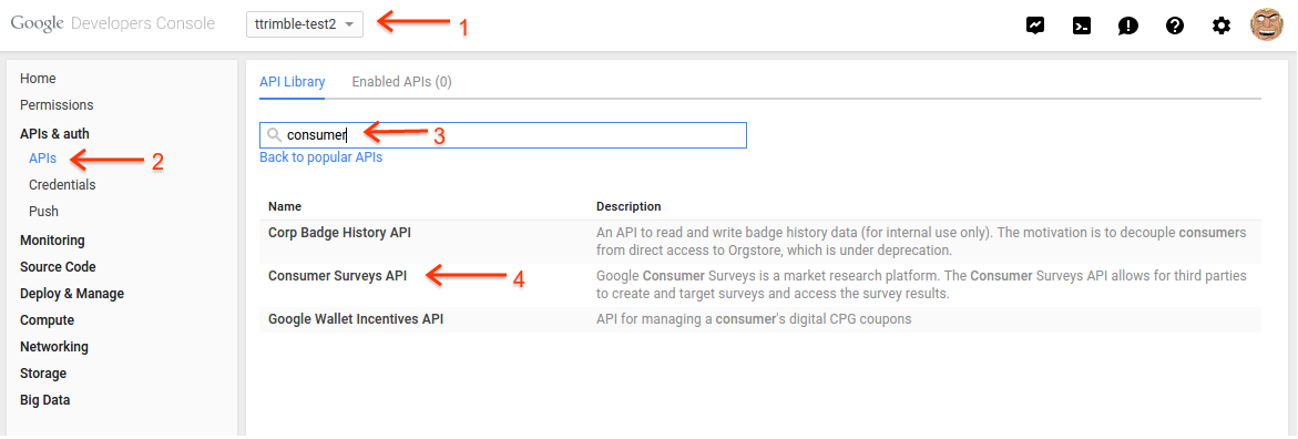 Screenshot of selecting the Consumer Surveys API