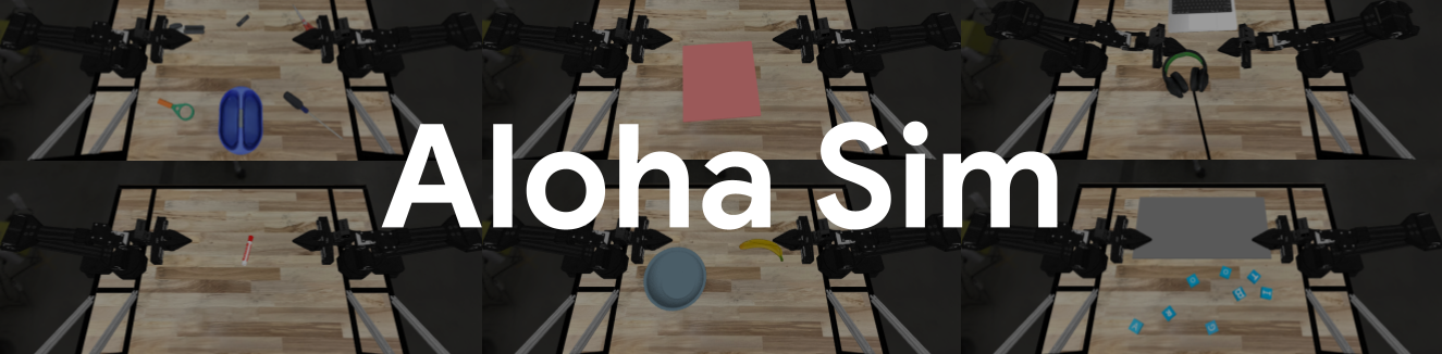 A banner with the title: Aloha Sim