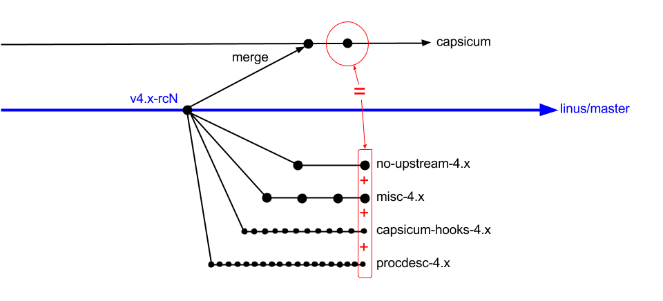 Capsicum branch structure