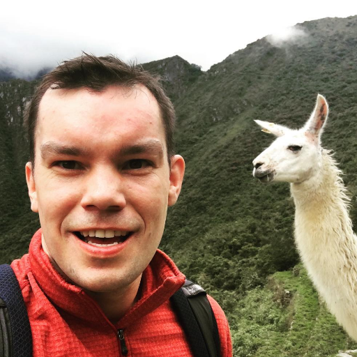 Konstantin Bulenkov portrait