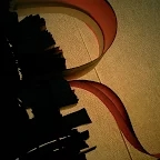 Mariela Monsalve portrait