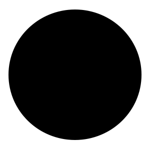 Shantell Martin portrait