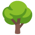 deciduous tree on Google