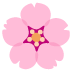 cherry blossom emoji on Google