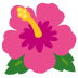 hibiscus on Google