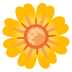 blossom on Google