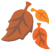 fallen leaf on Google