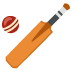 cricket game on Google