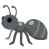 ant on Google