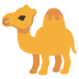 camel on Google