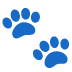 paw prints on Google