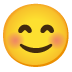 smiling face with smiling eyes on Google