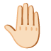 raised back of hand: light skin tone on Google