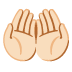 palms up together: light skin tone emoji on Google