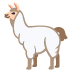 llama on Google