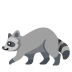 raccoon on Google