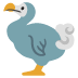 dodo on Google
