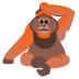 orangutan on Google