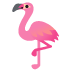 flamingo on Google
