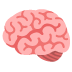 brain on Google
