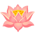 lotus on Google