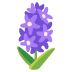 hyacinth on Google