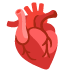anatomical heart on Google