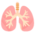 lungs on Google