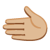 leftwards hand: medium-light skin tone on Google