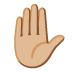 raised hand: medium-light skin tone on Google