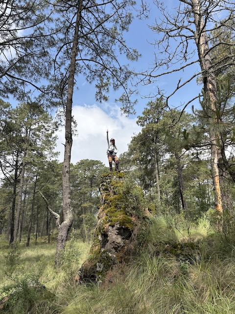 Volcanes Enanos