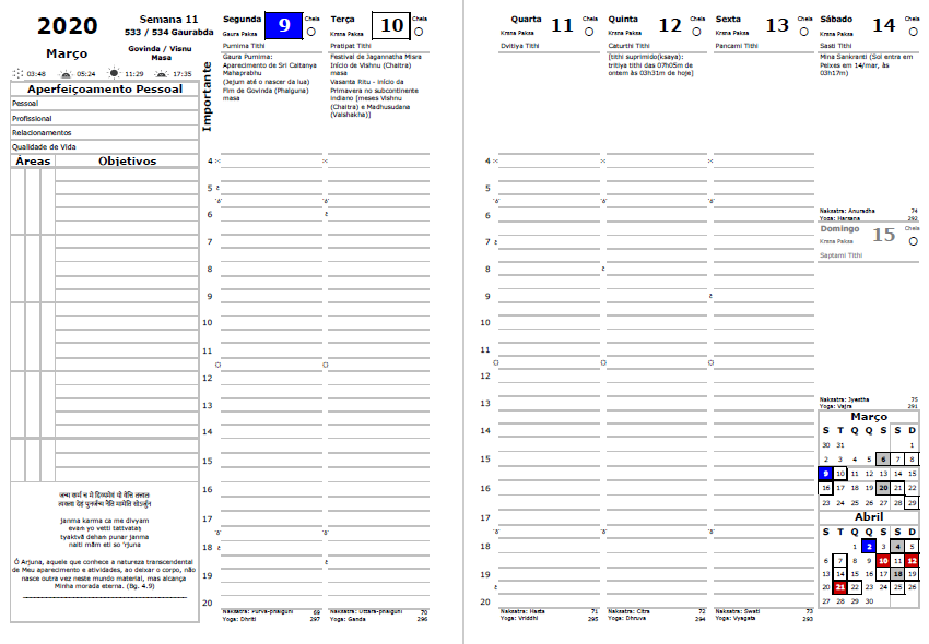 Planner GPlan 2020 - roda da vida