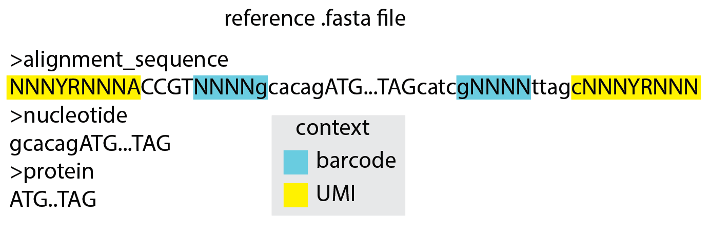 Reference sequence overview