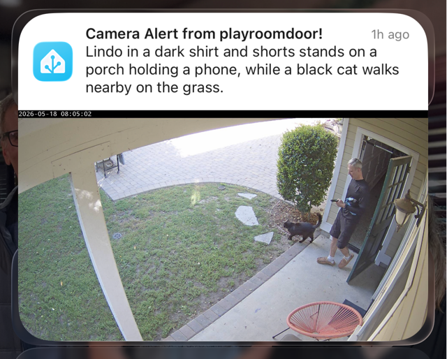 camera alert notification