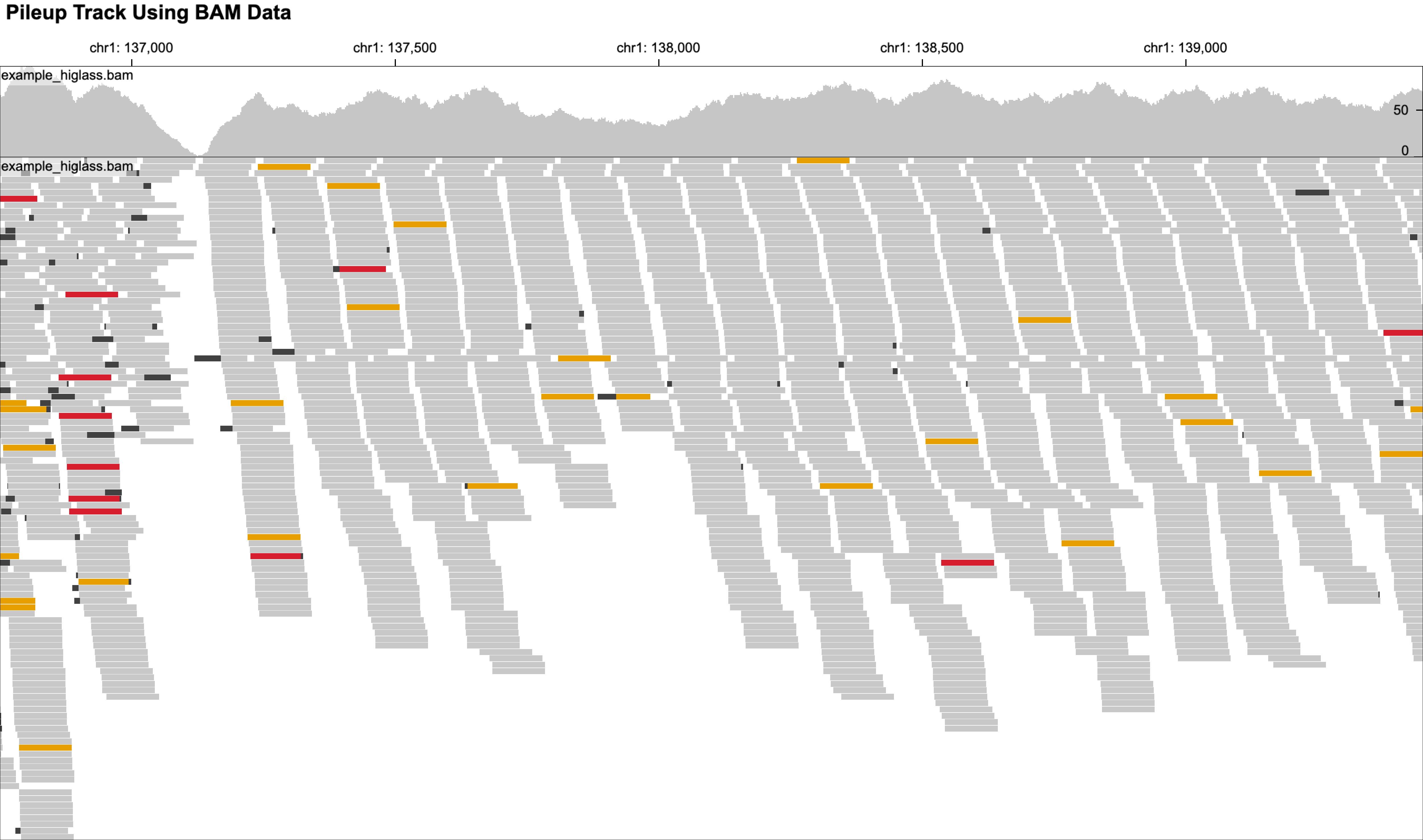 BAM file pileup tracks