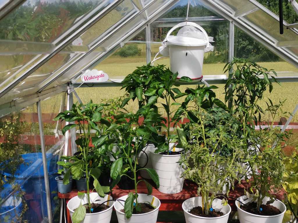 Growhouse Photo