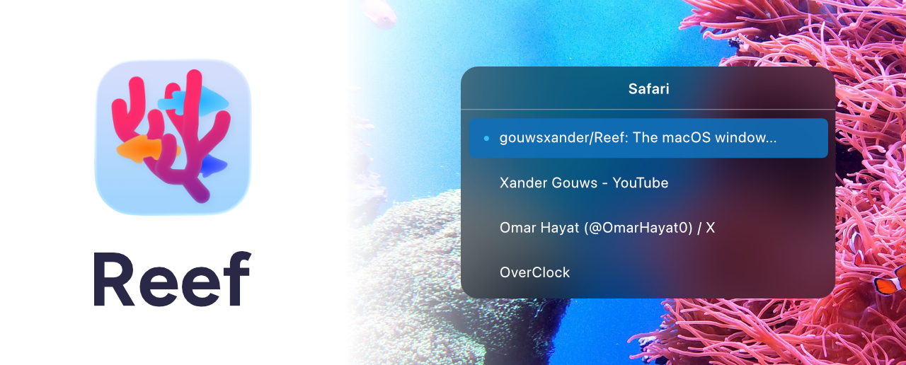 Cover photo. Reef logo and UI.