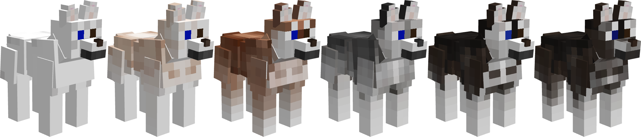 Husky coat variants
