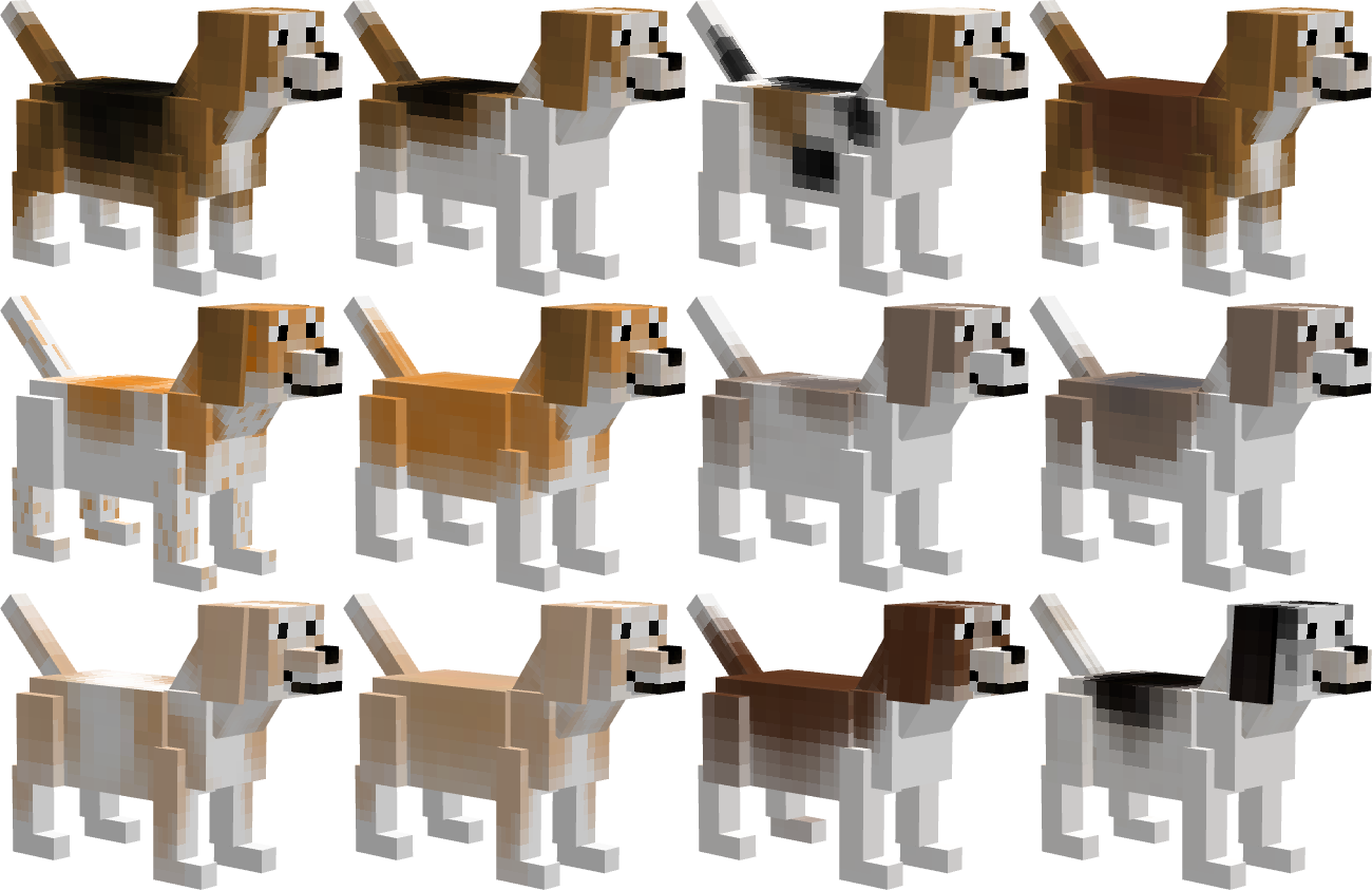 Beagle coat variants